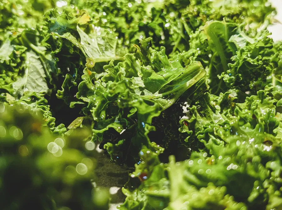 Manon’s Kale Chips With Activated Tahini@2x